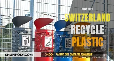 Switzerland's Green Revolution: Unlocking Plastic Recycling Secrets