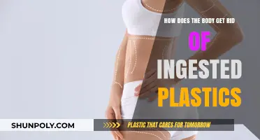 How Our Bodies Eliminate Ingested Plastics: A Scientific Breakdown