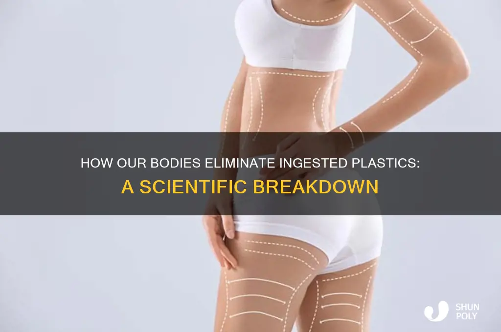 how does the body get rid of ingested plastics