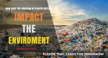 Plastic Bottles' Environmental Impact: Production, Pollution, and Sustainable Solutions