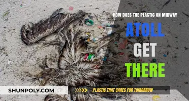 How Ocean Currents Carry Plastic Waste to Midway Atoll