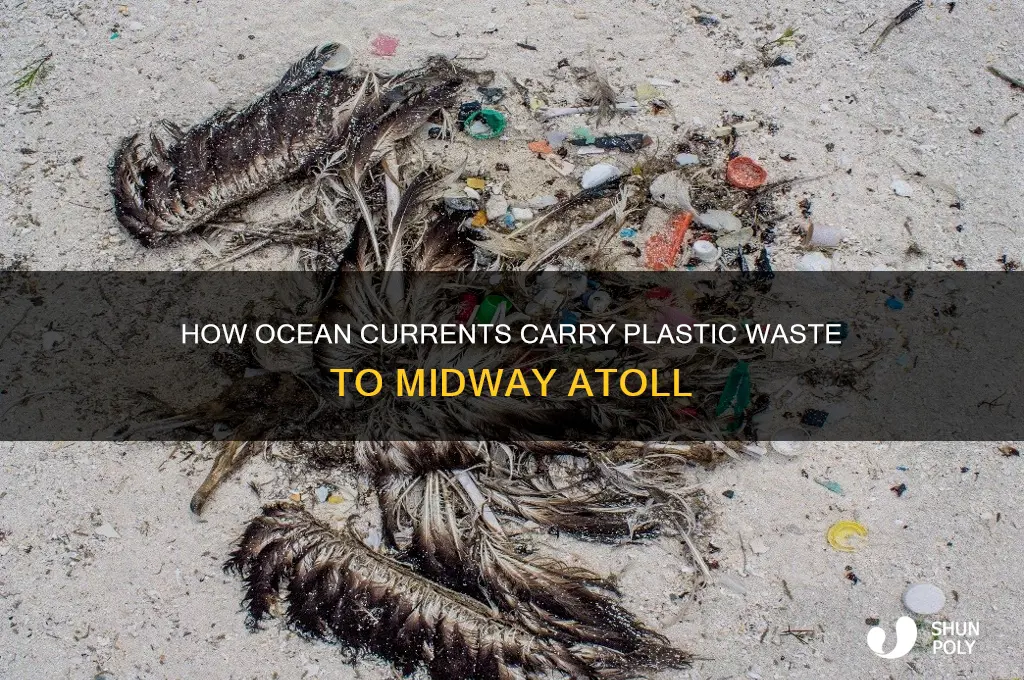 how does the plastic on midway atoll get there
