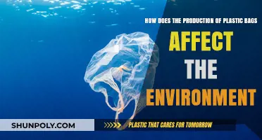 Plastic Bag Production: Environmental Impact and Sustainable Alternatives Explored