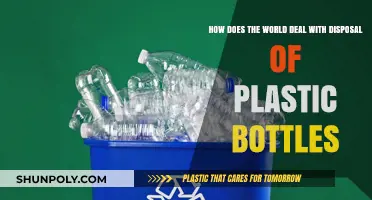 Global Plastic Bottle Disposal Crisis: Solutions and Challenges