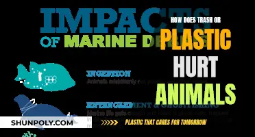 Trash and Plastic: A Deadly Threat to Animals
