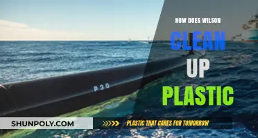 Wilson's Innovative Solutions: Tackling Plastic Pollution for a Cleaner Planet