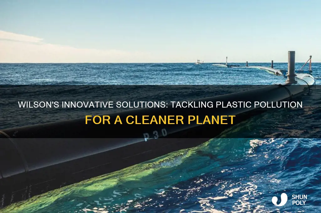 how does wilson clean up plastic