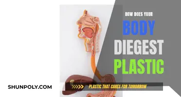 Plastic Consumption: Your Body's Unseen Battle