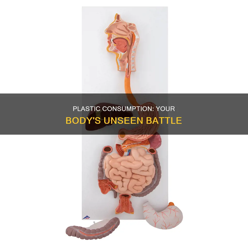 how does your body diegest plastic