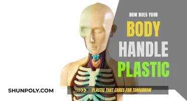 The Human Body's Response to Plastic