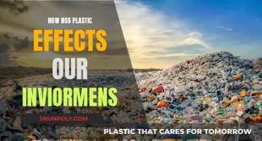 The Impact of Plastic Pollution on Our Environment