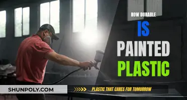 Painted Plastic: How Long Will It Last?