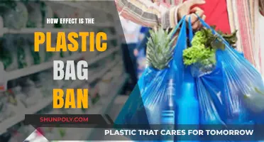Plastic Bag Ban: Assessing Its Environmental Impact and Effectiveness