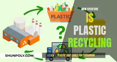 Unraveling the Plastic Recycling Mystery: Efficiency and Impact