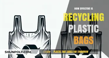 Recycling Plastic Bags: Uncovering the Real Environmental Impact and Effectiveness