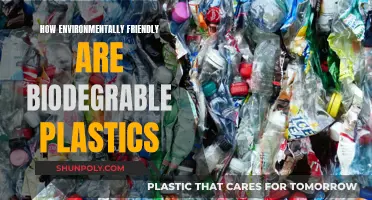 Biodegradable Plastics: Eco-Friendly or Greenwashing?