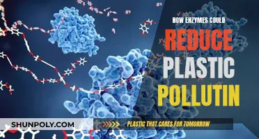 Enzyme Innovation: Plastic Pollution's Eco-Friendly Solution