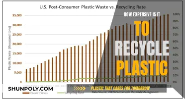 The Cost of Recycling Plastic: A Deep Dive