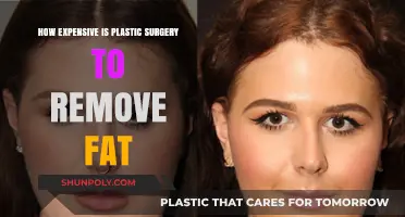 Plastic Surgery Fat Removal Costs: What to Expect Financially
