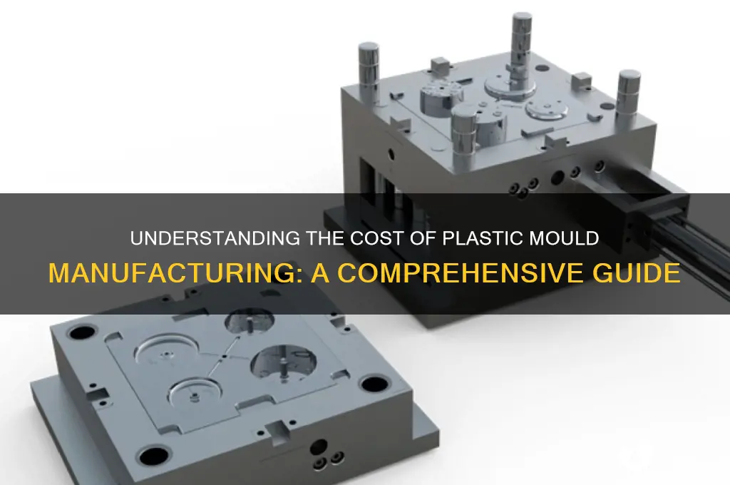 how expensive to get plastic mould