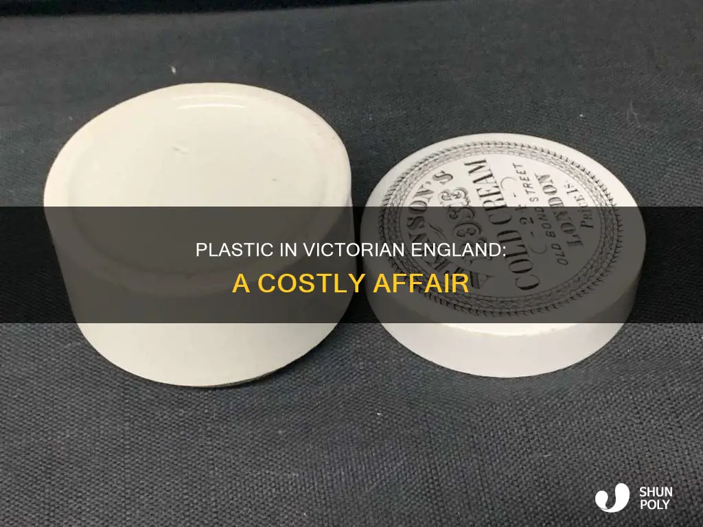 how expensive was plastic in victorian england
