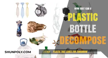 Plastic Bottle Decomposition: How Long Does It Take to Break Down?