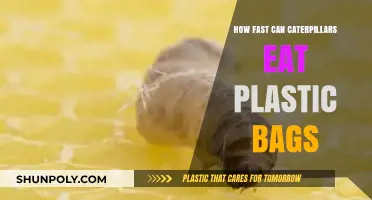 Caterpillars' Surprising Ability to Consume Plastic Bags: Speed Revealed