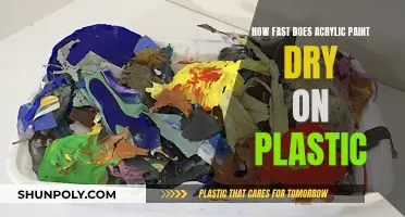 Acrylic Paint Drying Time on Plastic: How Long Does it Take?