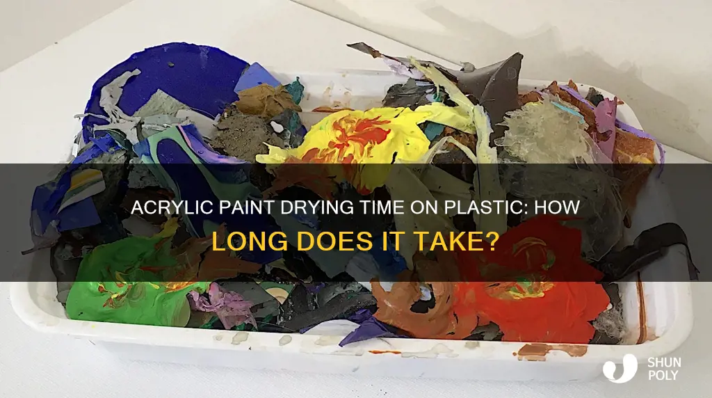 how fast does acrylic paint dry on plastic