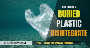 Plastic Decomposition: Understanding the Disintegration Timeline of Buried Plastics