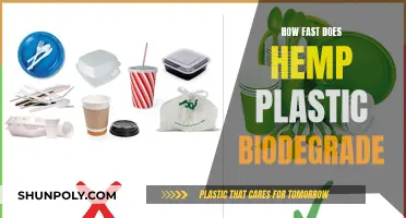 Hemp Plastic: Quick Biodegradation and Eco-Friendly Benefits