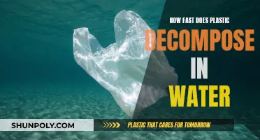 Plastic Decomposition in Water: Understanding the Timeline