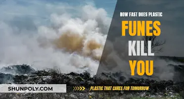 Plastic Fumes: A Lethal Risk to Your Health