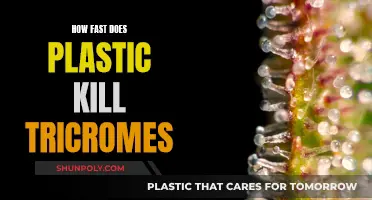 Plastic's Impact: Trichomes' Survival in a Polluted World
