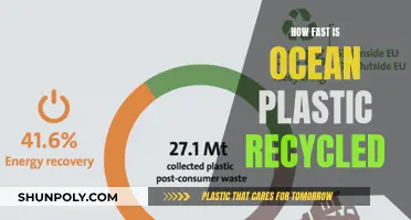 Ocean Plastic Recycling: Unraveling the Speed Limit