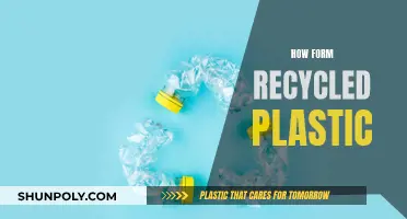 Transforming Plastic Waste: The Art of Recycling for a Greener Future