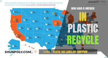 America's Plastic Recycling Progress: A Comprehensive Overview