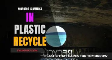 America's Plastic Recycling Efforts: Effective or Not?