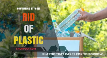 The Stubborn Plastic Problem: Challenges in Eliminating Waste Effectively