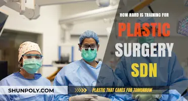 The Rigorous Journey of Plastic Surgery Residency Training: Insights and Challenges