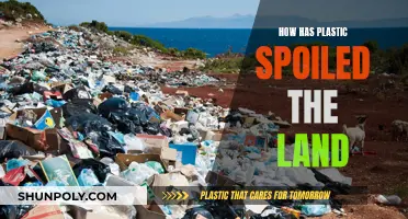 Plastic's Pernicious Impact on Our Land