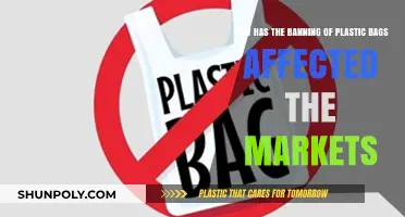 Plastic Bag Bans: Market Shifts, Consumer Behavior, and Environmental Impact