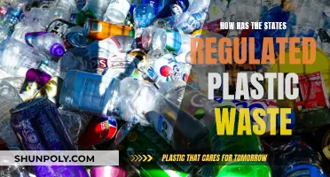 States' Strategies to Combat Plastic Waste
