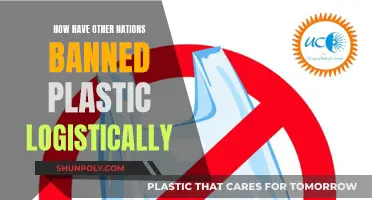 Plastic Bans: How Nations Logistically Overcame Plastic Pollution