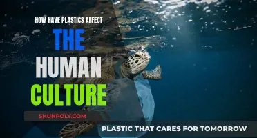 Plastic's Impact: Shaping Human Culture and Society