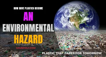 Plastic Pollution: An Environmental Disaster and Its Causes