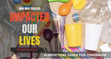 The Plastic Age: Impacting Our Daily Lives