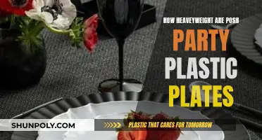 Plastic Plates: Are They Sturdy Enough for Your Party?