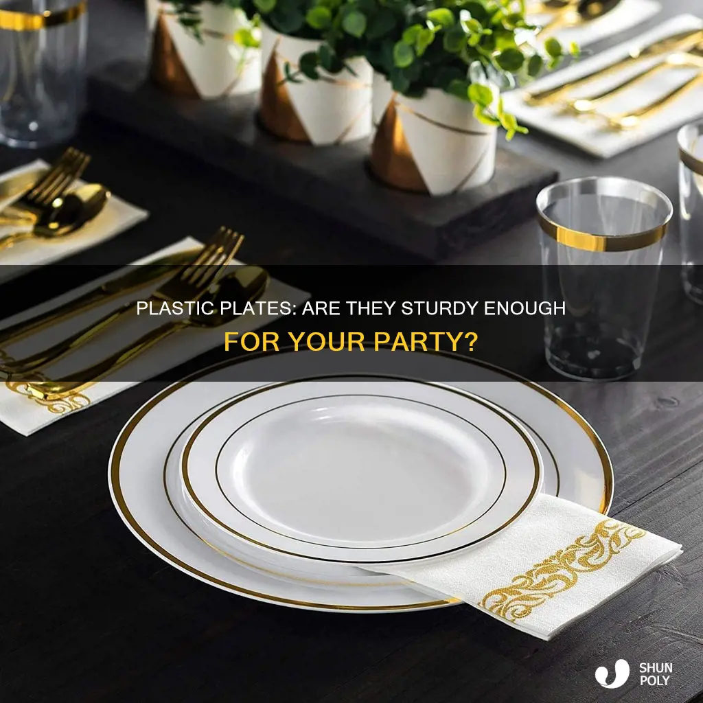 how heaveyweight are posh party plastic plates