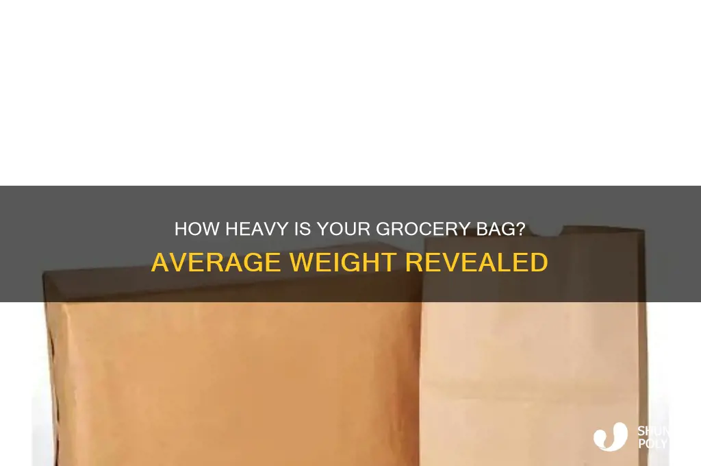 how heavy average filled grocery plastic bag
